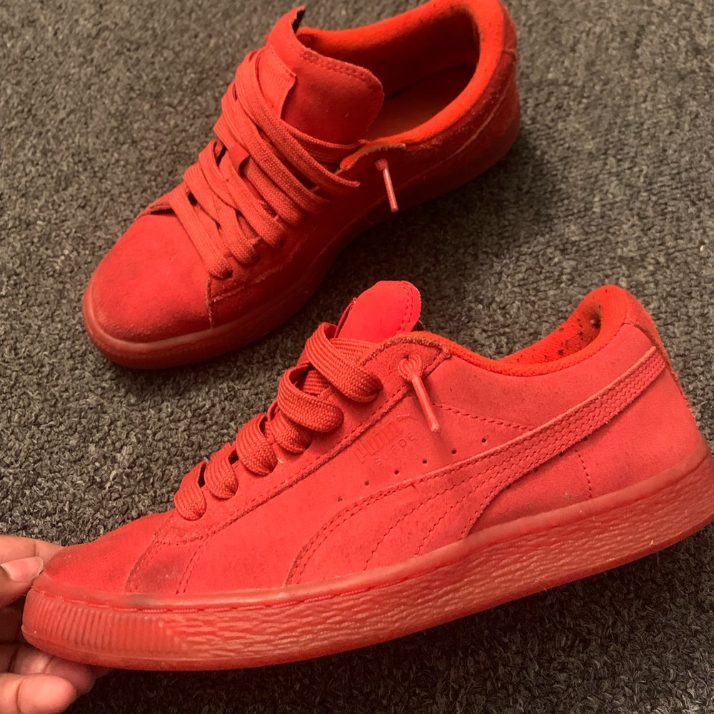 Red pumas